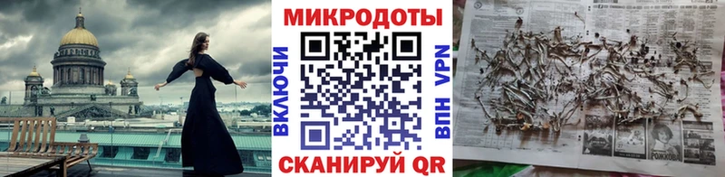 Галлюциногенные грибы Psilocybine cubensis Сосногорск